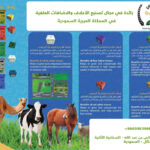 حجر ملحي أزرق  ( غني بالنحاس والسلينيوم ) 5كيلوجرام